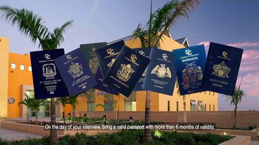 U.S. Visitors Visa Embassy Dealer