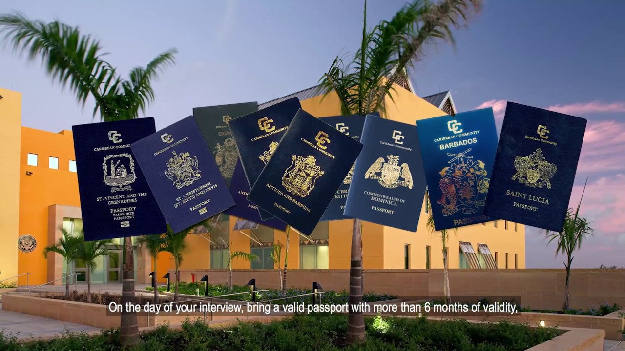 U.S. Visitors Visa Embassy Dealer (Kids)